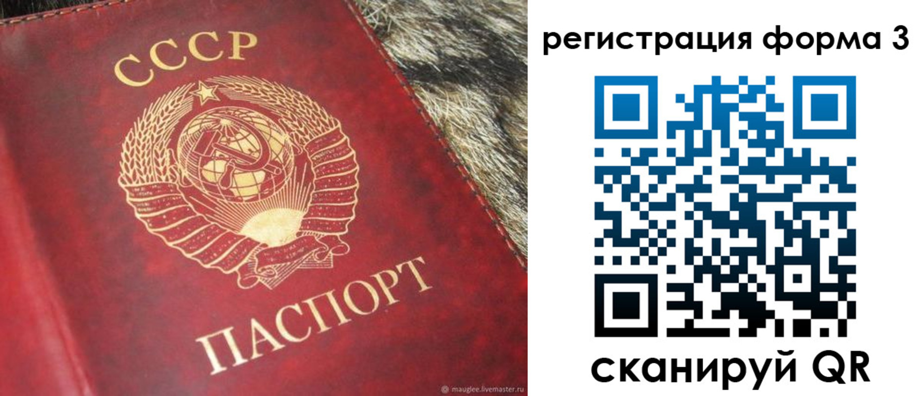 временная прописка в Лысьве